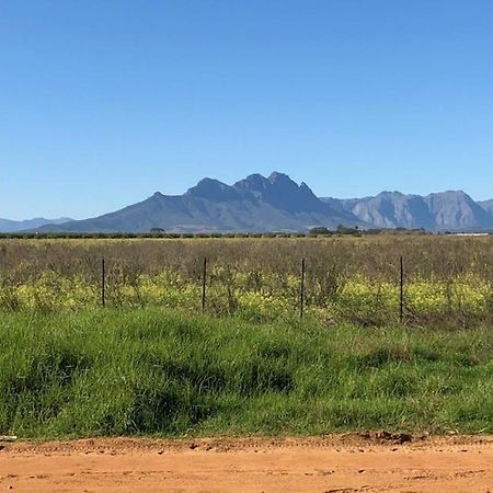 The Vineyard East Ξενοδοχείο Durbanville Εξωτερικό φωτογραφία