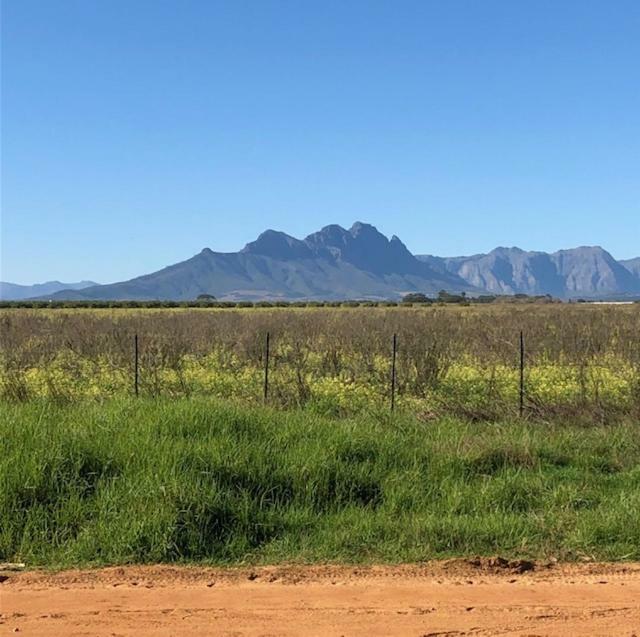 The Vineyard East Ξενοδοχείο Durbanville Εξωτερικό φωτογραφία